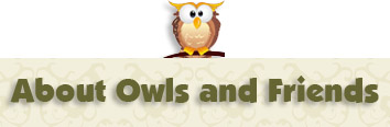 Banner_About_Owls_Friends.jpg